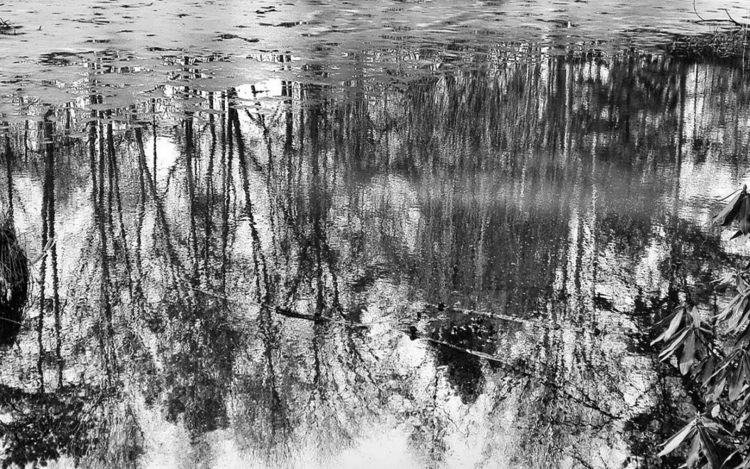 Winterbilder – sw