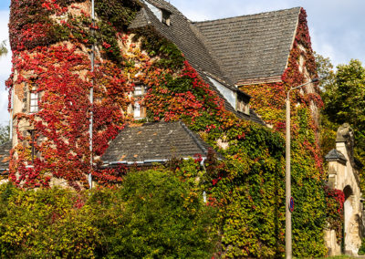 Herbstliche Farben in der Natur